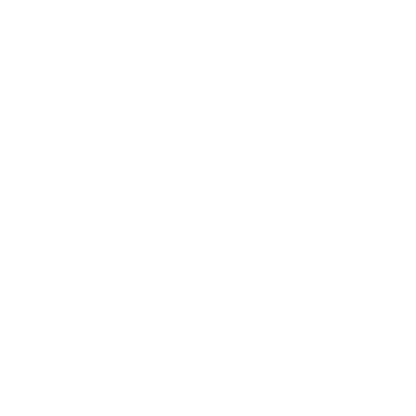 999 dragon